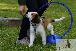 Welpen  24.05.2025 12